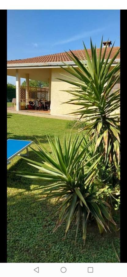 Green Garden Виареджо Экстерьер фото